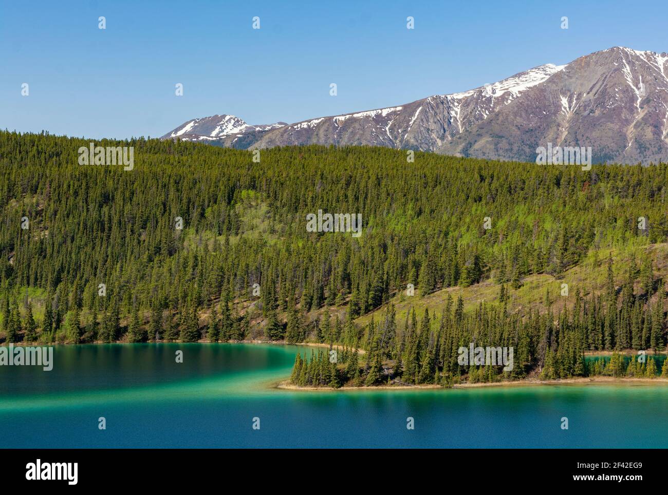 Canada, Yukon, lacs du Sud, route du Klondike Sud, lac Emerald au nord de Carcross Banque D'Images