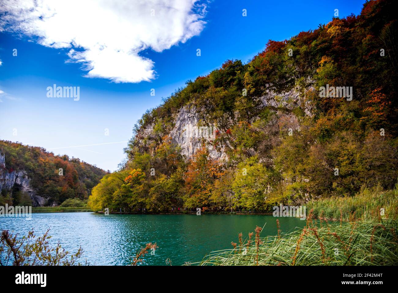 Paysage d'automne étonnant dans le parc naturel de Plitvice Jezera, Croatie Banque D'Images