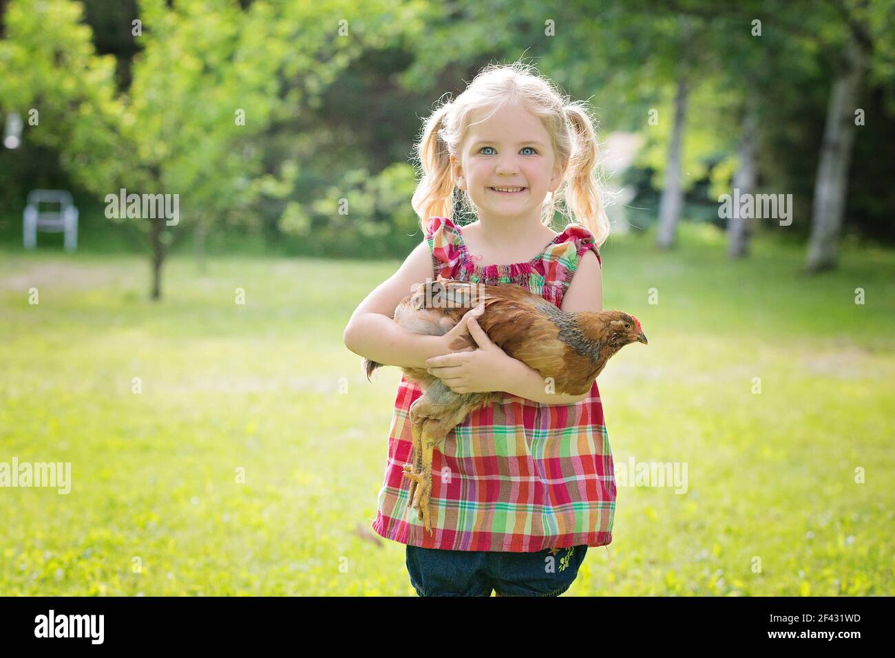 Jolie petite fille blonde avec des yeux bleus tenant un poulet à l'extérieur. Banque D'Images