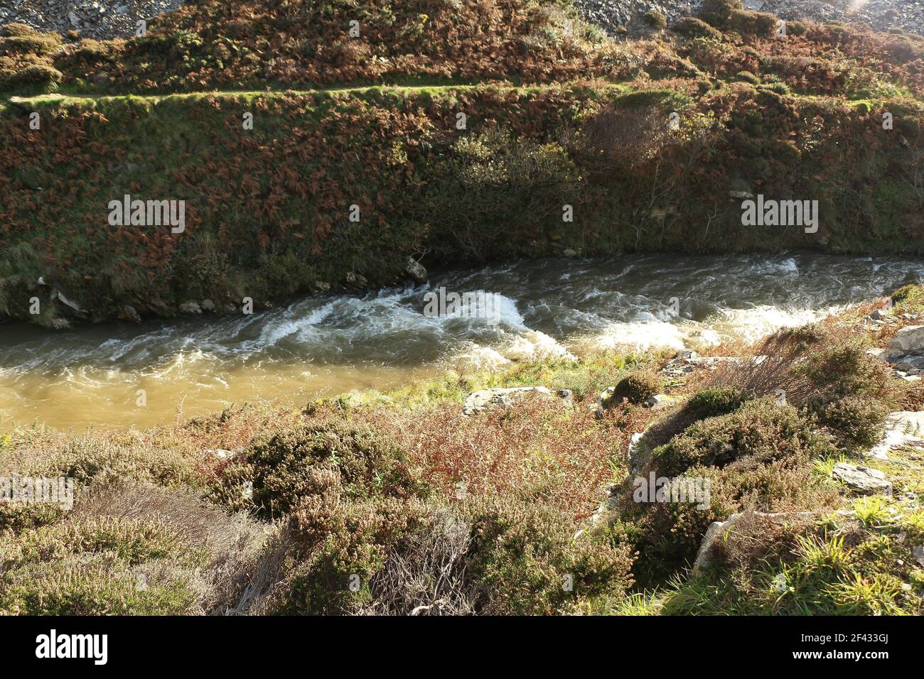 La rivière Heddon enflée par de fortes précipitations et des crues d'eau Par la vallée de Heddon sur le chemin de la mer sur La côte de North Devon dans la sout Banque D'Images