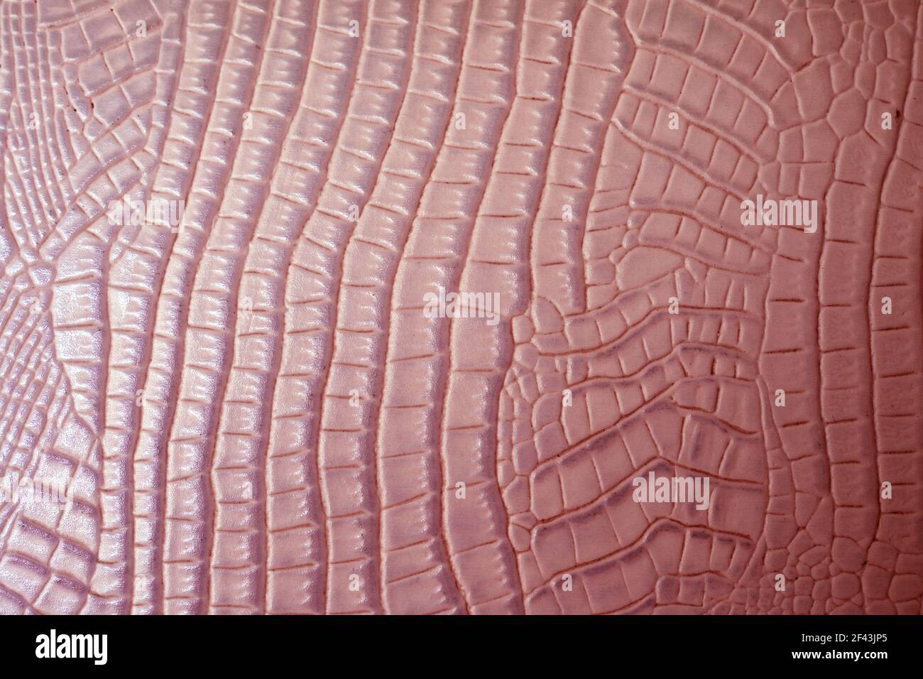 texture peau de crocodile comme papier peint Banque D'Images