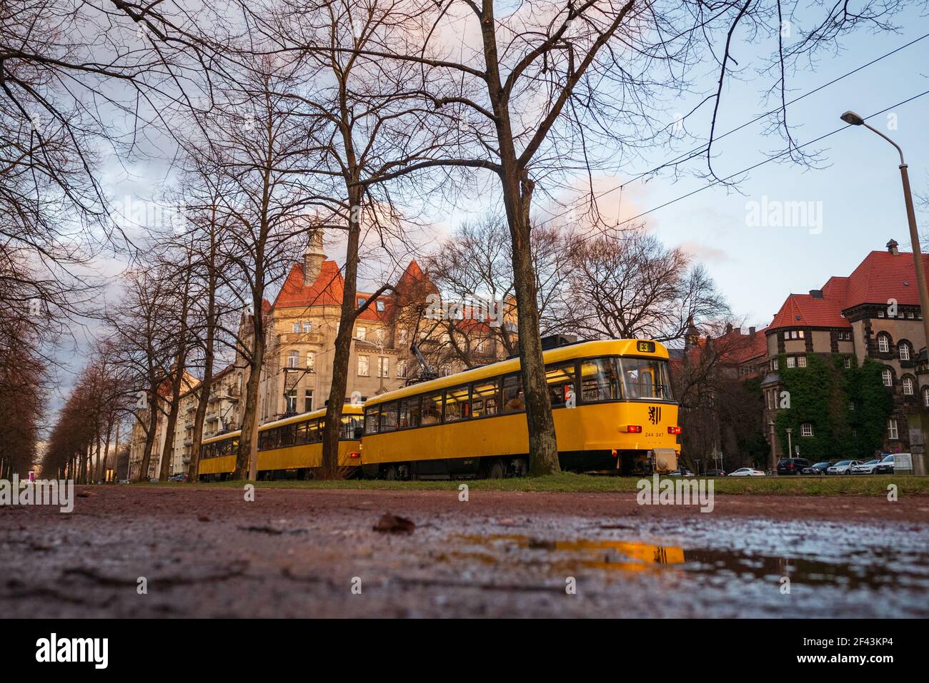 Le tram Old Tatra T3 de couleur jaune attend que les gens se trouvent. Les transports en commun dans la ville. Véhicule Dresdner Verkehrsbetriebe. Banque D'Images