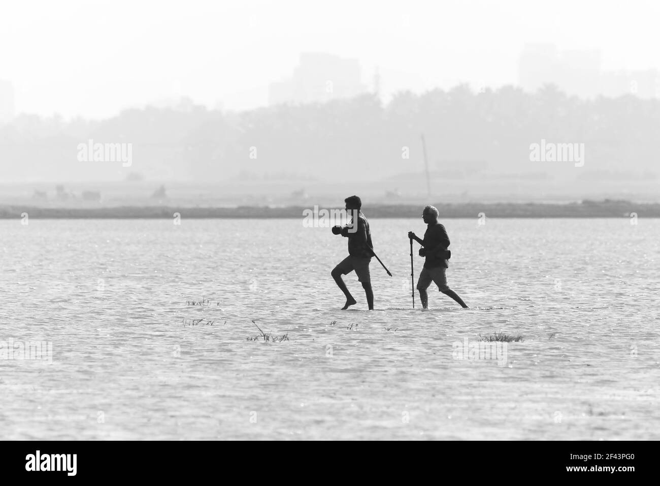 Terres humides de Thrissur Kole Banque D'Images