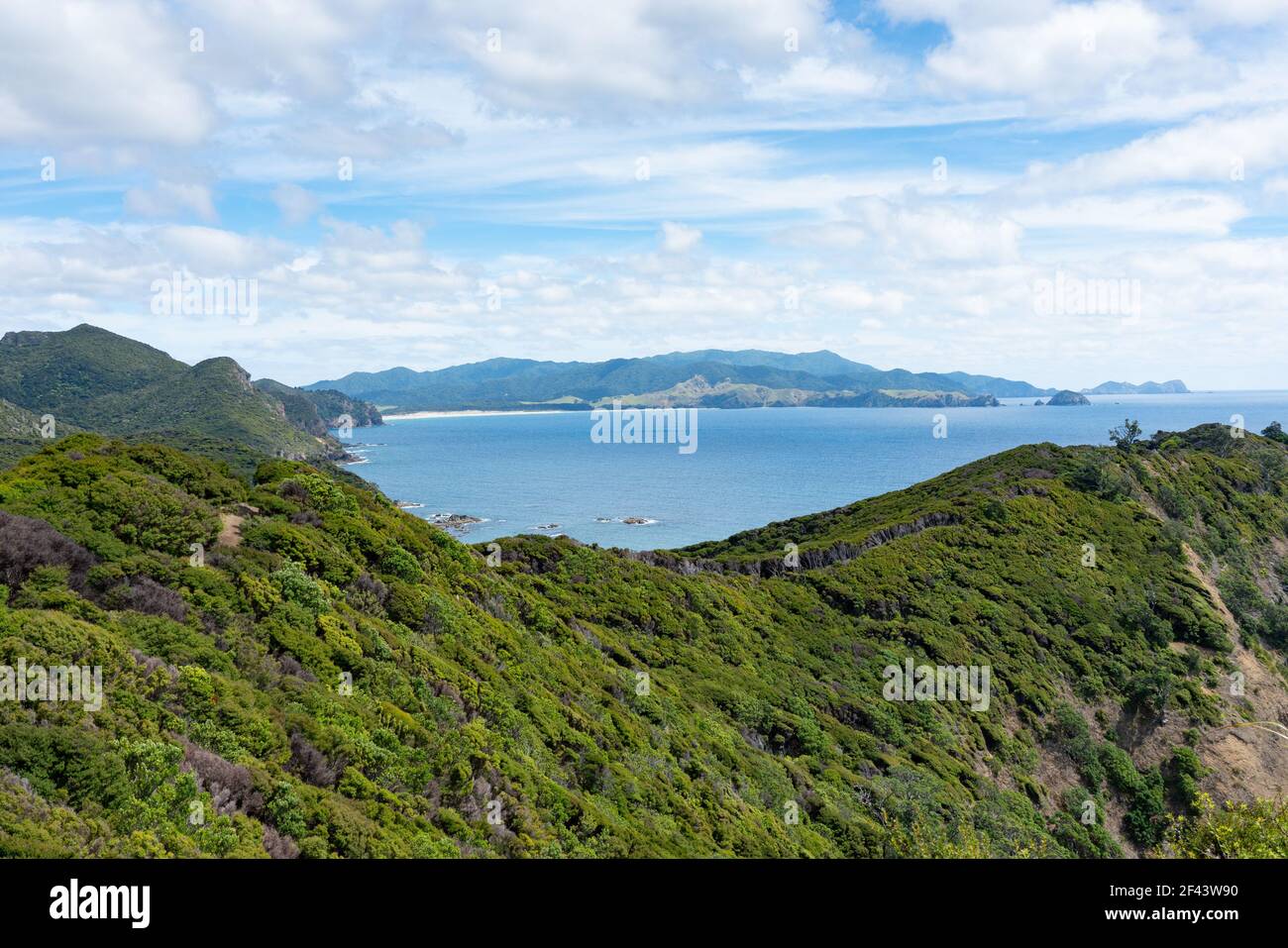 Vue sur les collines de la Grande Barrière depuis le haut de la piste de la boucle de Harataonga jusqu'aux baies et à la mer de Nouvelle-Zélande. Banque D'Images