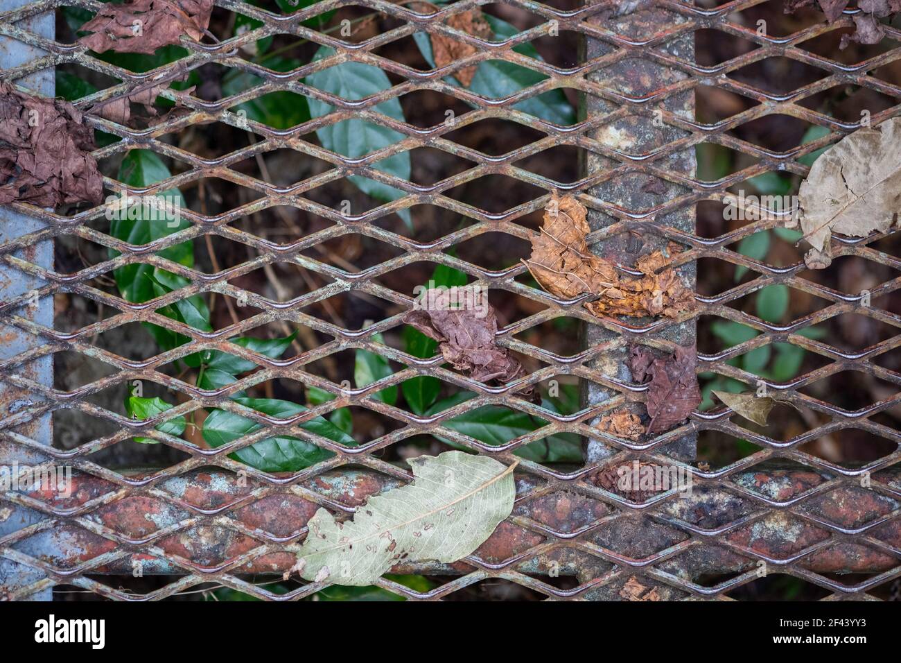Laisser sec avec métal expansé, nivellement de l'acier avec rouille, pose à plat et photographie de dessus. Banque D'Images
