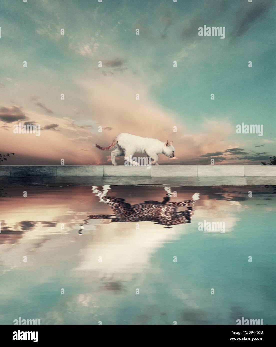 Fake Tiger Banque D Image Et Photos Alamy