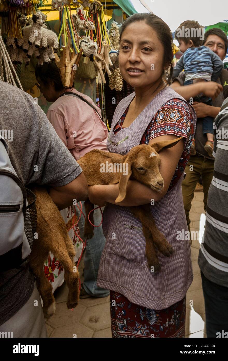 Oaxaca Mexique 19 11 30 Jeune Femme Tient A Vendre Au Chevre Bebe Marche Photo Stock Alamy