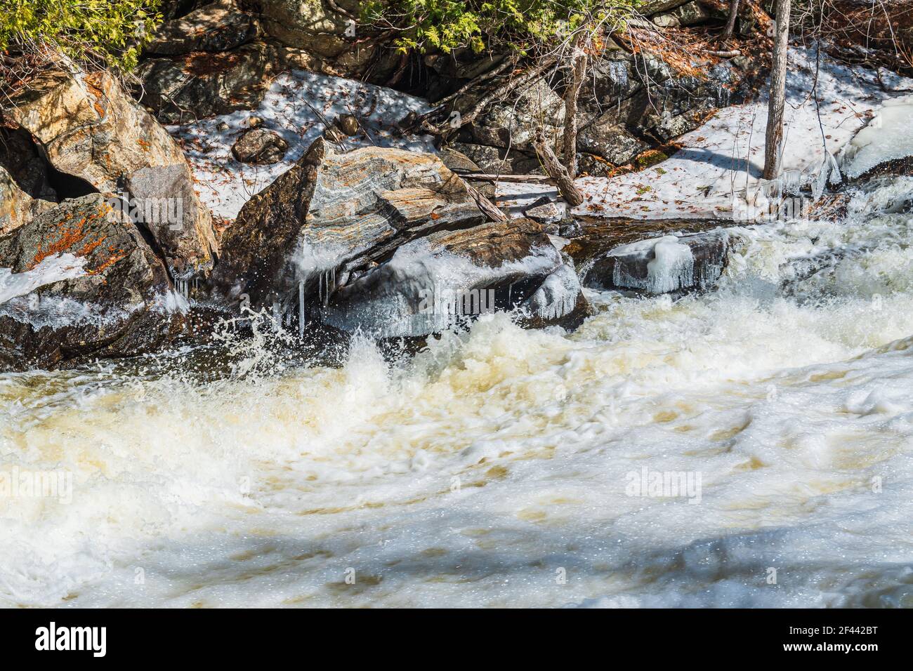 Egan Chutes conservation Area Haliburton County Bancroft Ontario Canada in hiver Banque D'Images