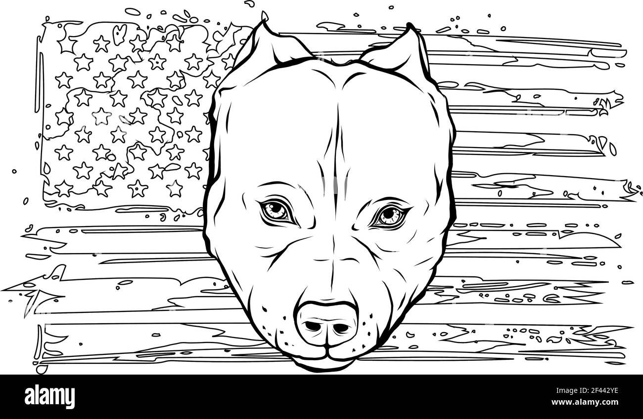 Dessinez en noir et blanc de Head of agressif Bully Chien avec drapeau américain Illustration de Vecteur