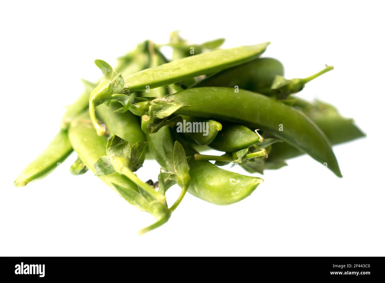 Gros plan pile de haricots verts frais isolés sur un blanc arrière-plan Banque D'Images