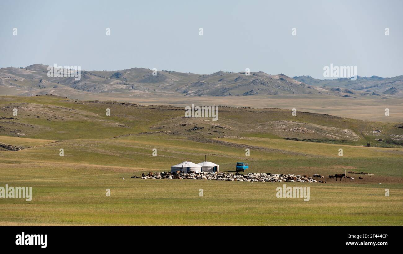 Baruuntunuun, Mongolie - 8 août 2019 : vie nomade sur la steppe de Mongolie avec deux yourtes, voiture et cheval. Banque D'Images