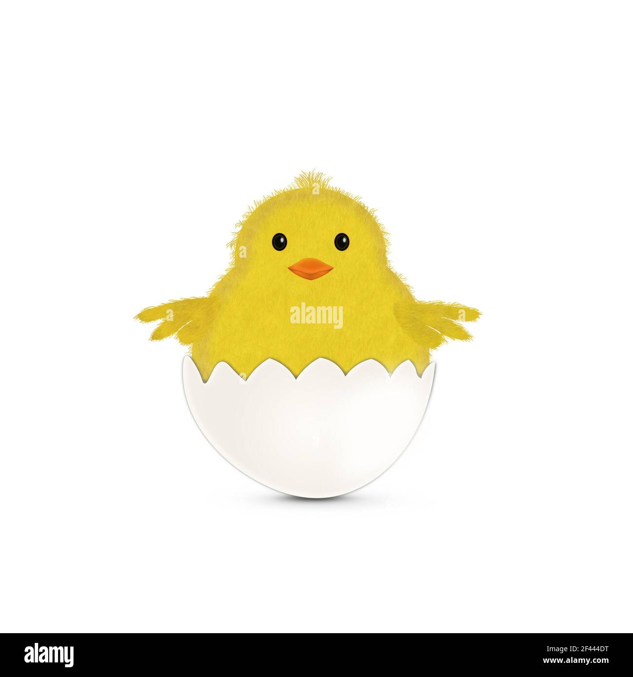 Mignonne de printemps sortant de la coquille d'œuf. Banque D'Images