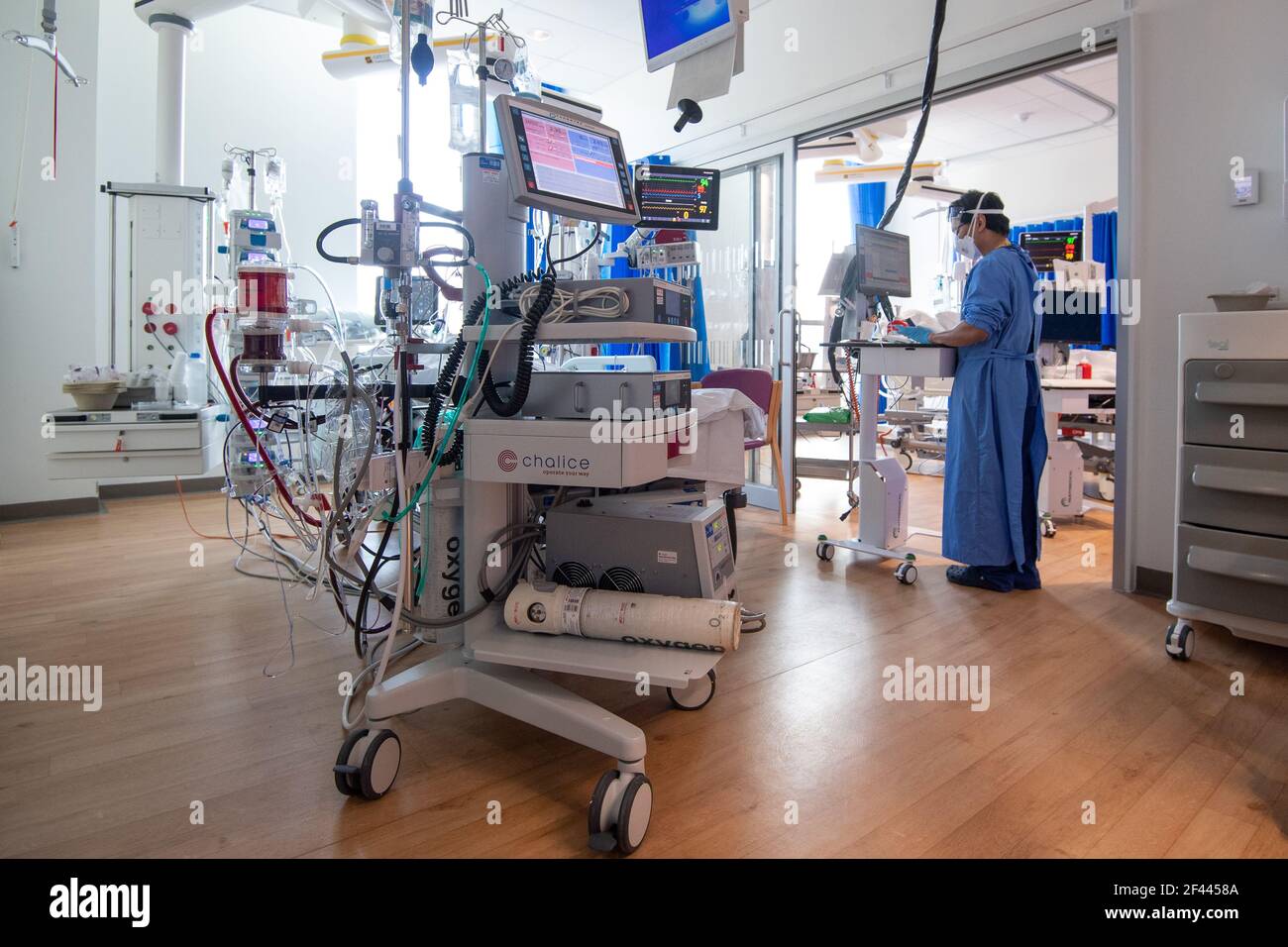 Machine d'oxygénation extracorporelle à membrane Banque de