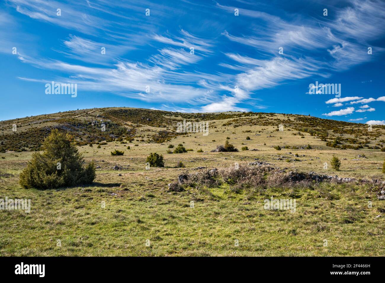 Paysage des causses arides, nuages cirrus, vue de la route D16, au plateau du Causse Mejean, massif Central, département de Lozère, région occitanie, France Banque D'Images