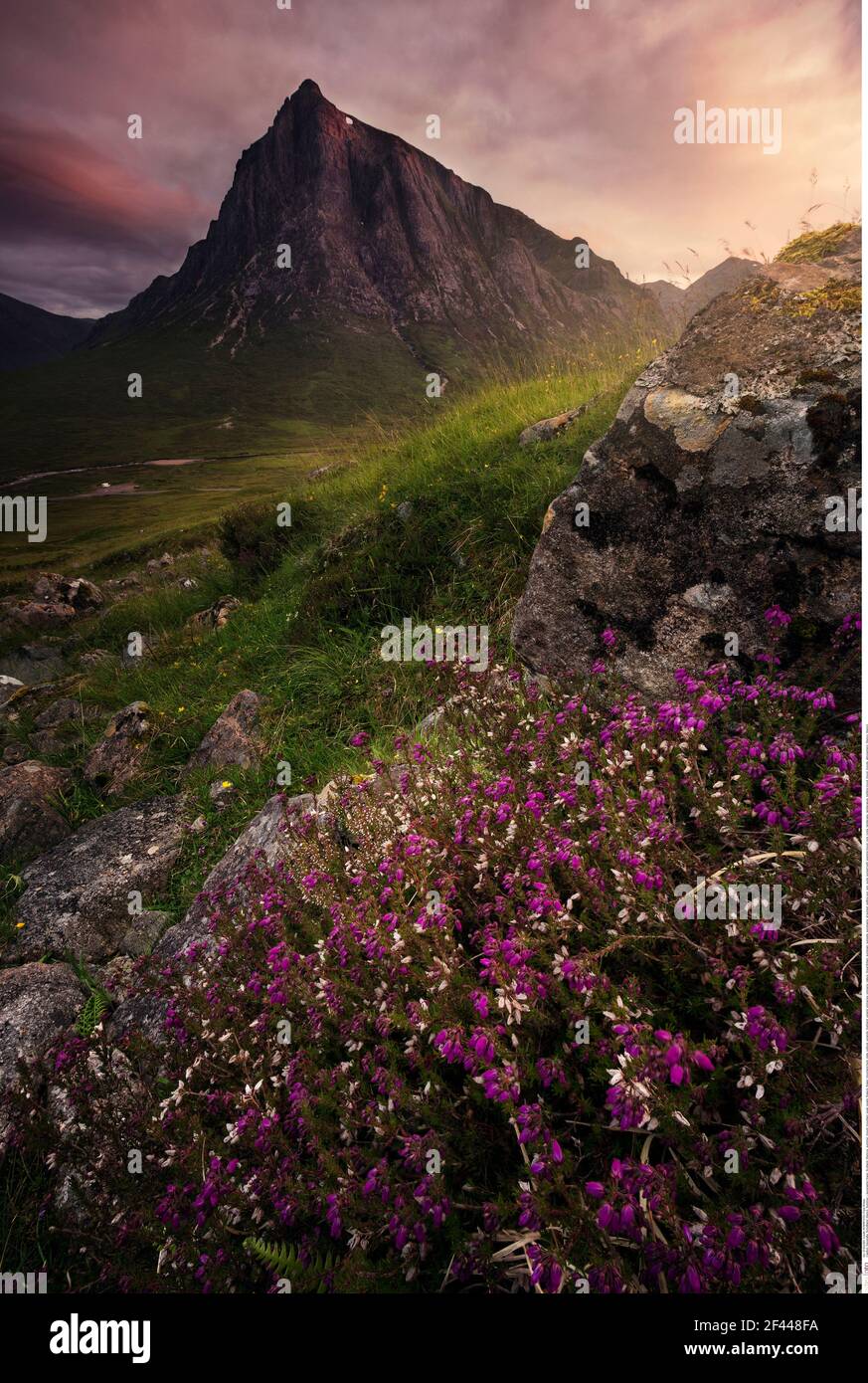 Géographie / Voyage, Ecosse, Glencoe, été, Additional-Rights-Clearance-Info-non-disponible Banque D'Images