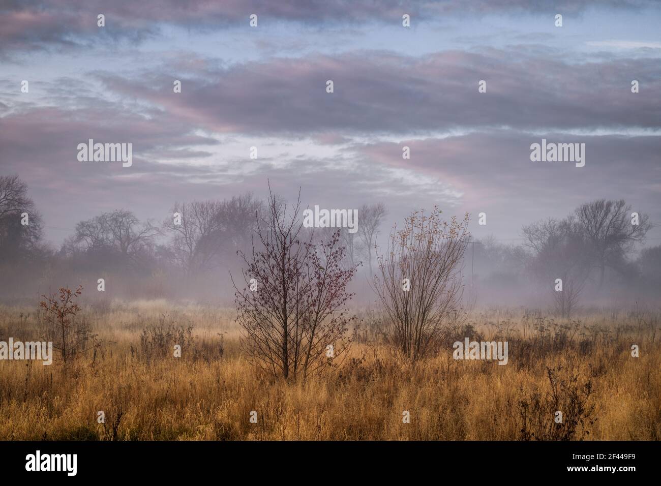 Matin d'automne brumeux dans la campagne du Warwickshire Banque D'Images