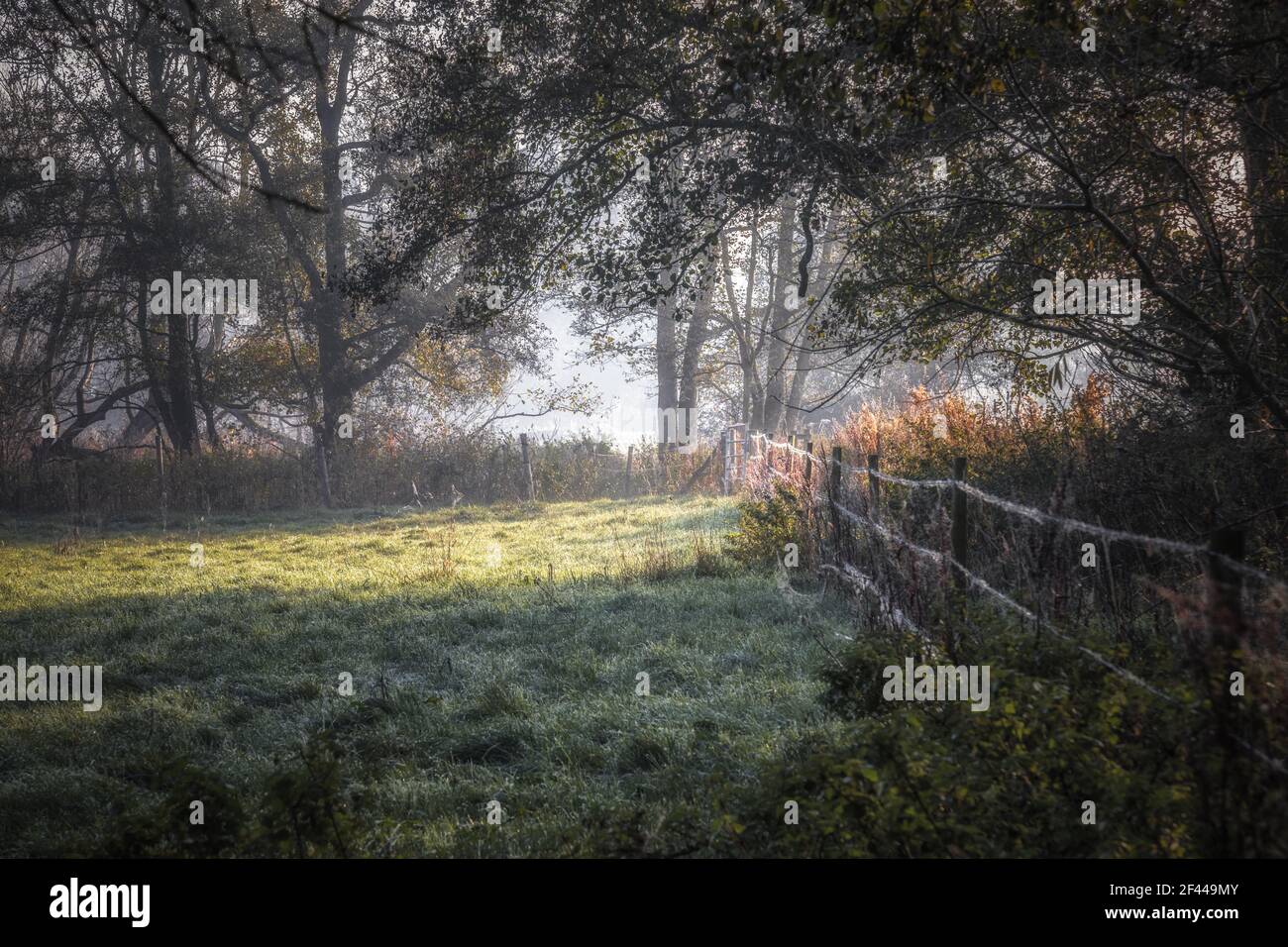 Belle matinée givrée dans la campagne du Warwickshire Banque D'Images