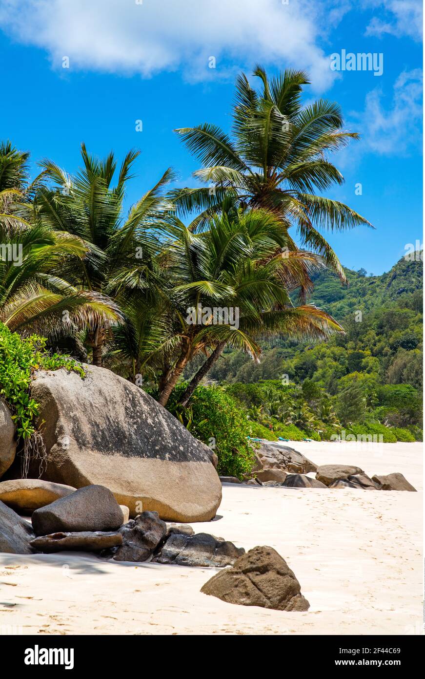 Géographie / Voyage, Seychelles, Mahé, Anse Intendance, plage avec palmiers, Additional-Rights-Clearance-Info-non-disponible Banque D'Images