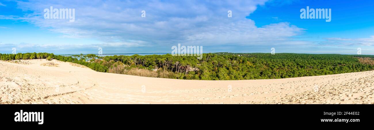 La dune de Pilat, près du bassin d'Arcachon, en Gironde, en Nouvelle-Aquitaine, France Banque D'Images