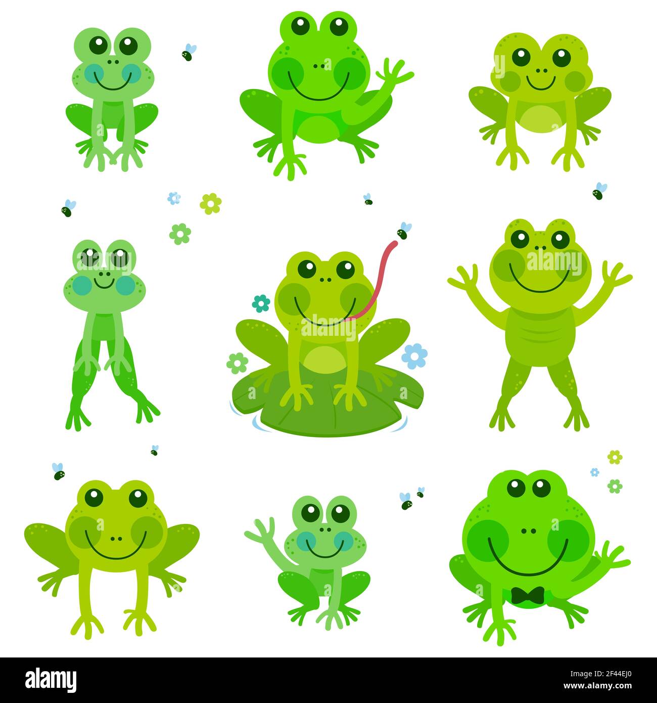 Collection de grenouilles et de crapauds mignons. Jeu d'illustrations Banque D'Images