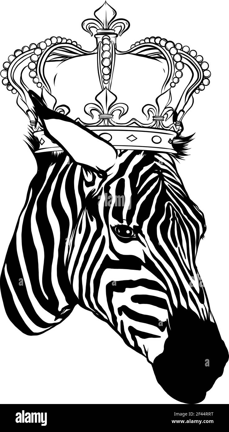 dessinez en noir et blanc de l'adorable zèbre porter un illustration du vecteur couronne Illustration de Vecteur