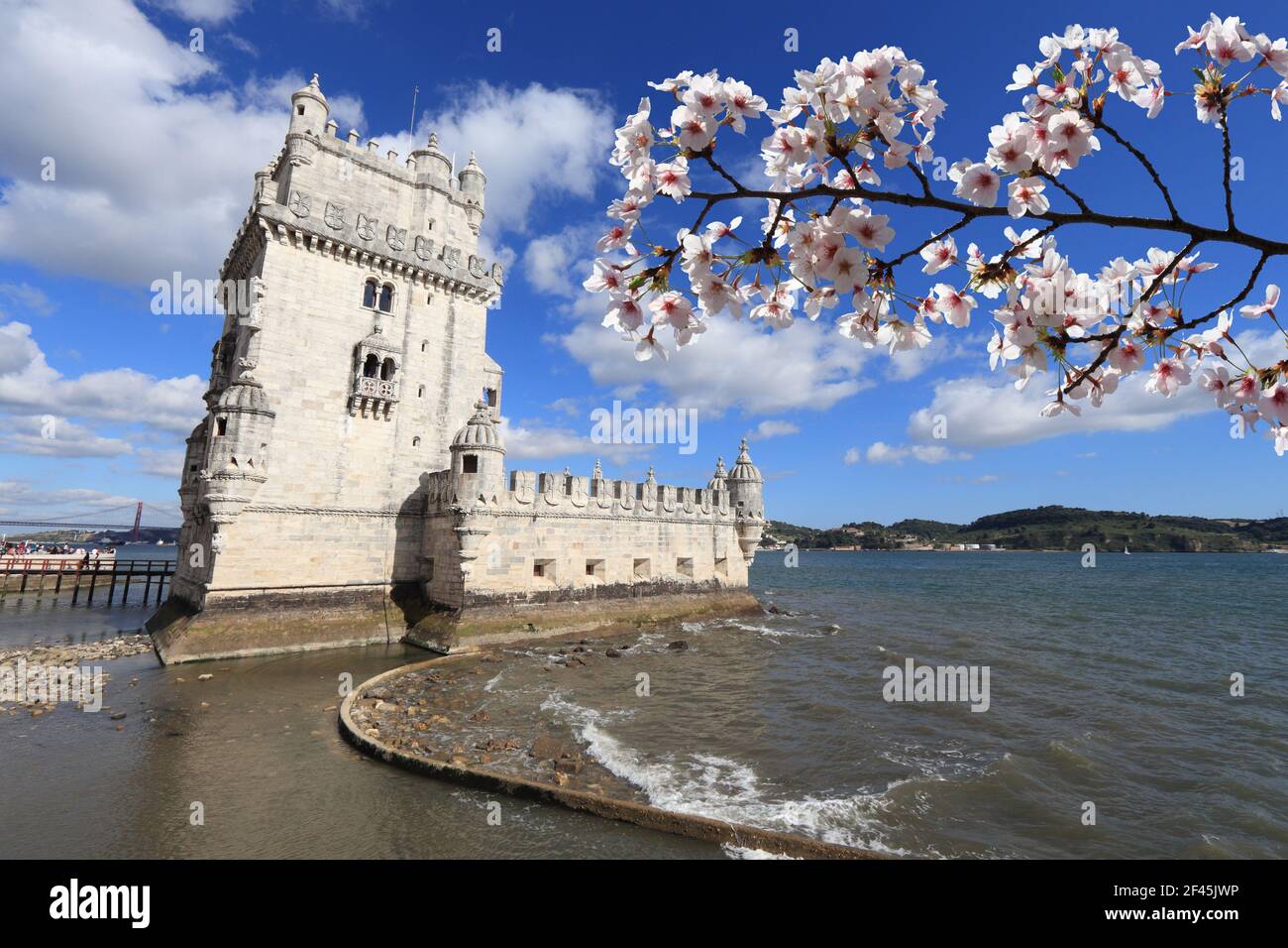 Printemps au Portugal. Le printemps, les cerisiers en fleurs se trouvent à Lisbonne, au Portugal. Tour Belem. Banque D'Images