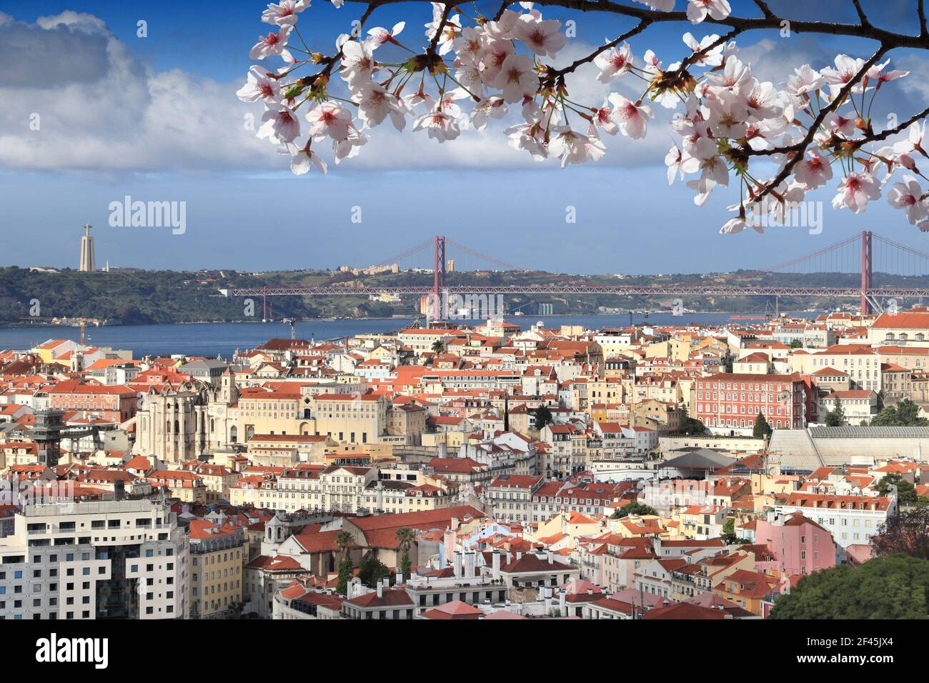 Printemps au Portugal. Le printemps, les cerisiers fleurissent dans la ville de Lisbonne, au Portugal. Banque D'Images