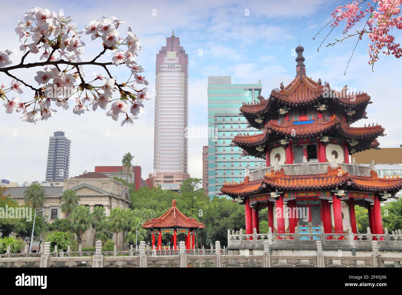 Printemps à Taipei. Le printemps, les cerisiers fleurissent dans la ville de Taipei, Taïwan. Banque D'Images