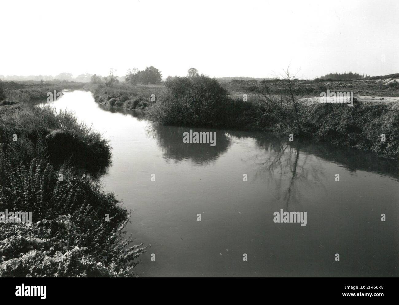 Lausitzer Heide. Spree au-dessous de Schöpsdorf dans le domaine de l'architecture future de lignite Bärwalde. Vue sur la rivière vers le sud Banque D'Images