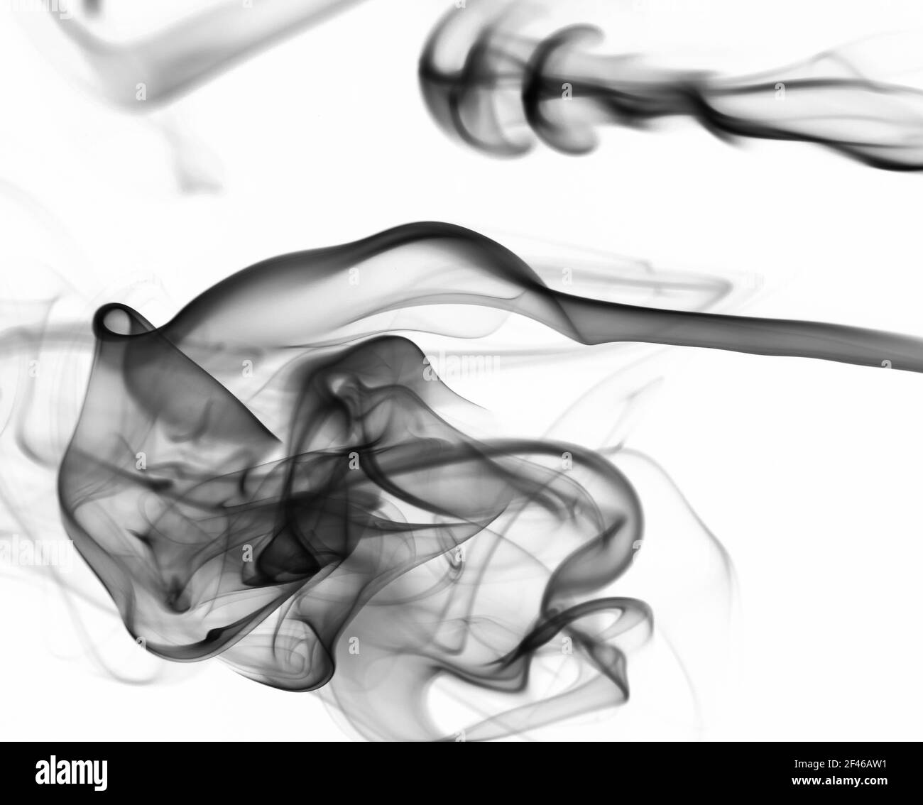 Nuage de fumée soyeux abstrait sur fond blanc. Nettoyez le papier peint monochrome Banque D'Images