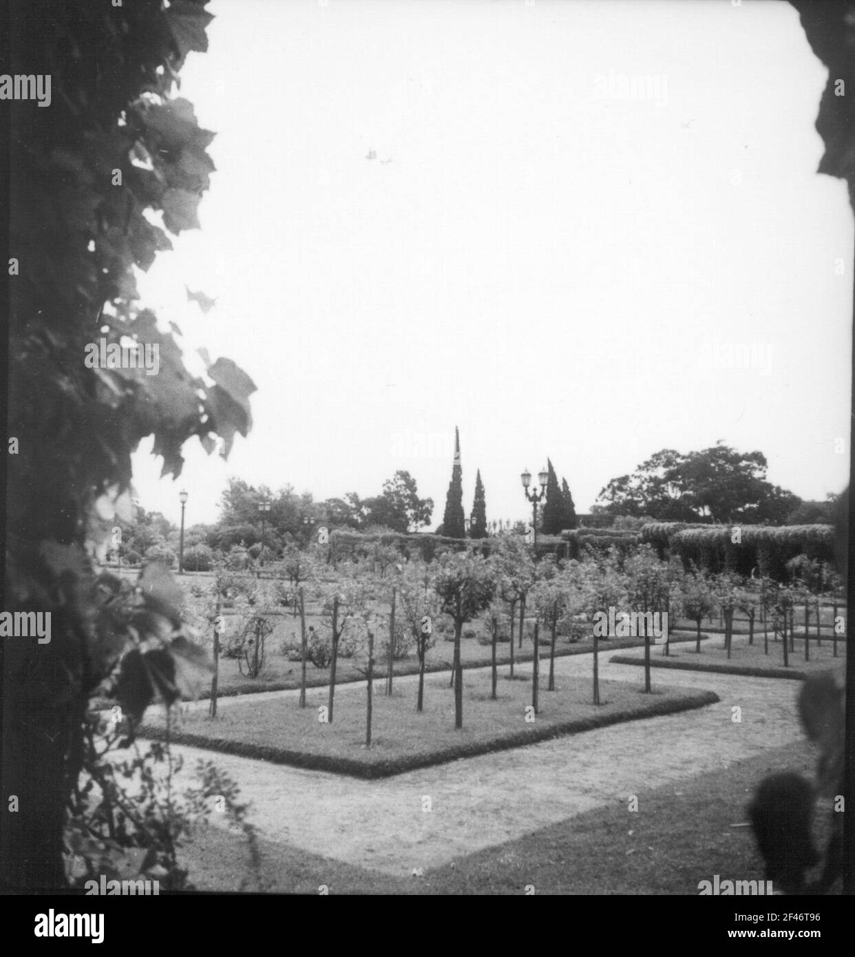 Photos de voyage Brésil. Stationnement Banque D'Images