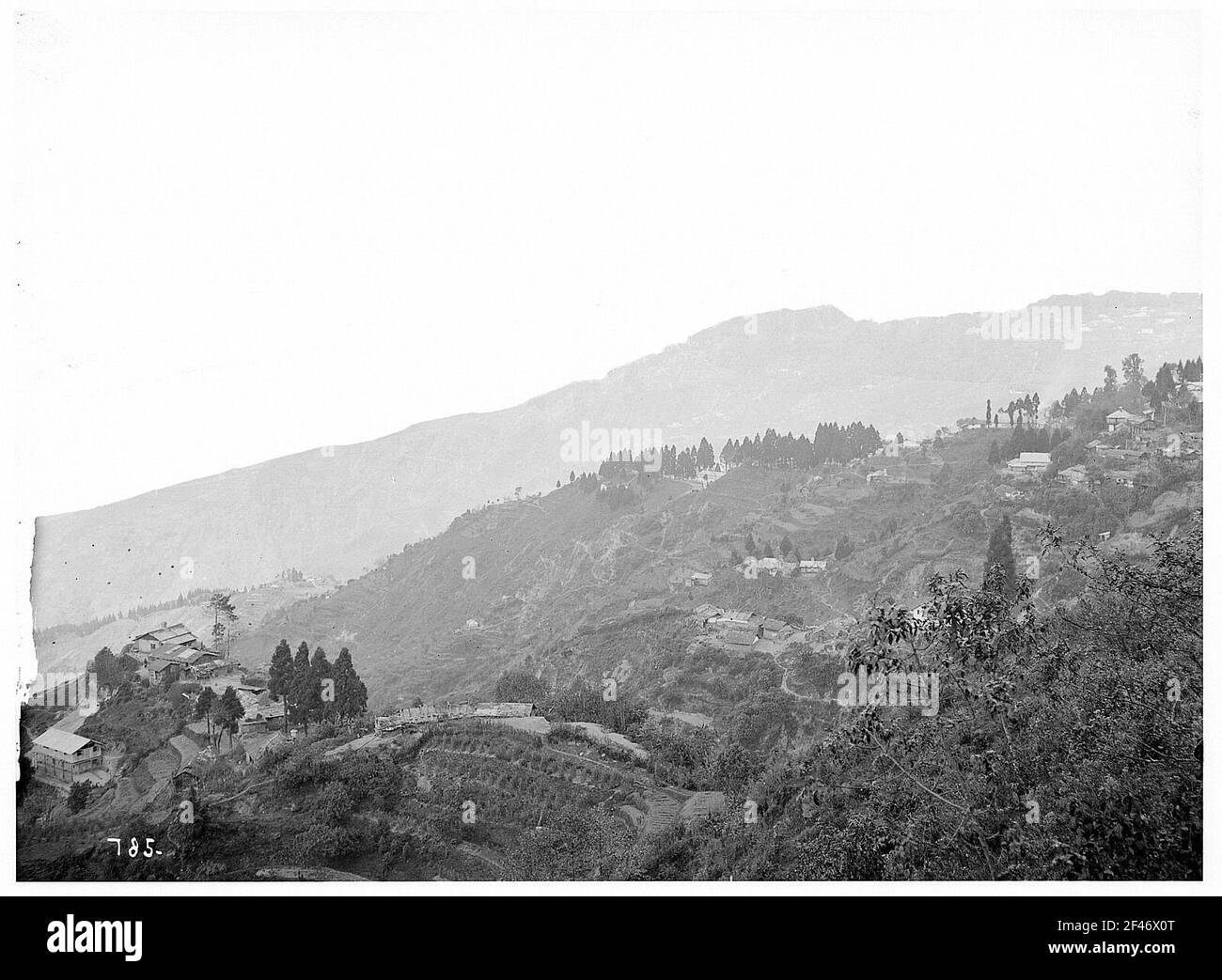 Darjeeling / Inde: Scène de montagne sur le chemin de la ville Banque D'Images