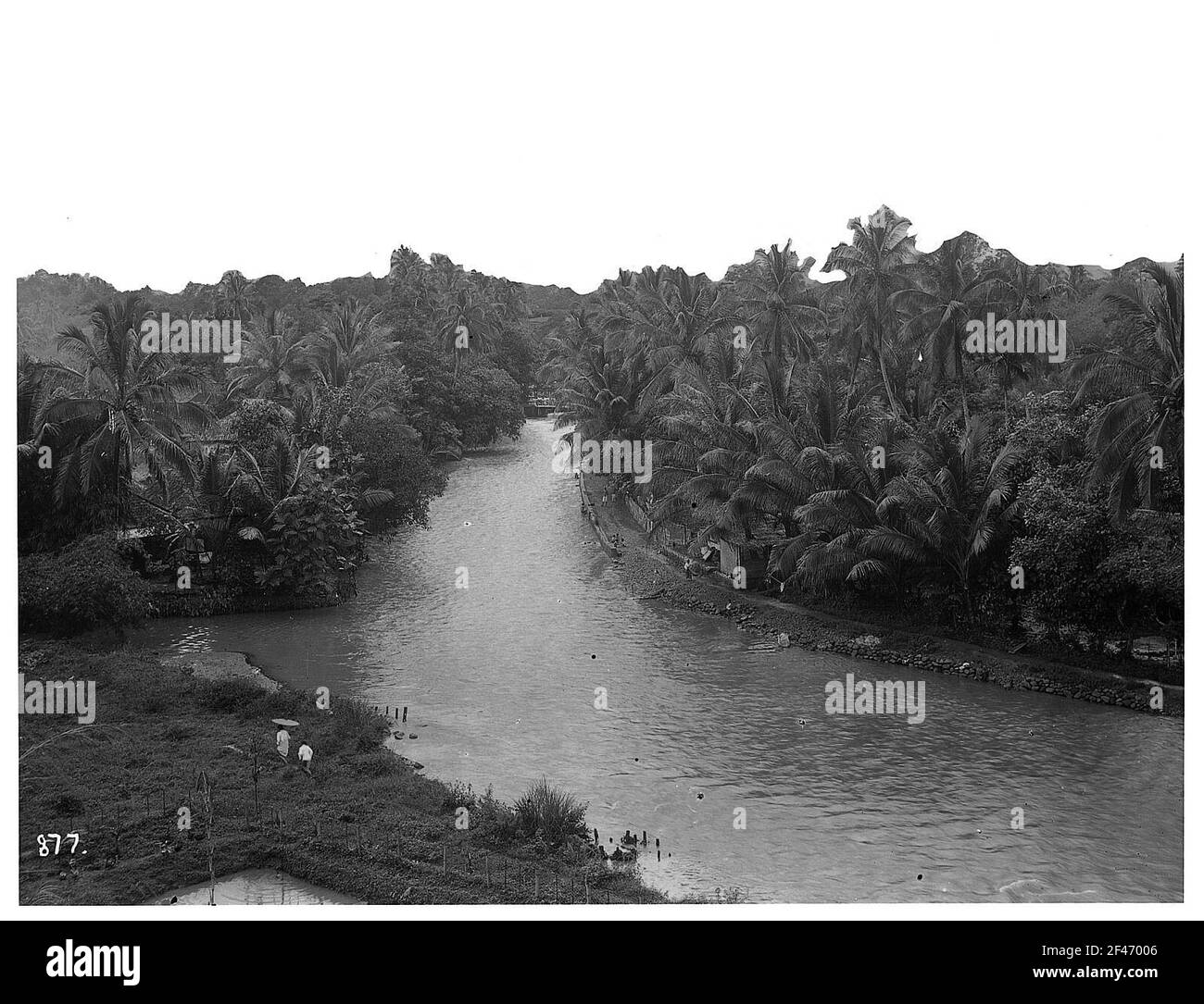 Buitenzorg (Bogor) (Java / Indonésie). Vue depuis l'hôtel Bellevue sur la rivière avec palmiers qui bordent les rives, maisons de droite Banque D'Images