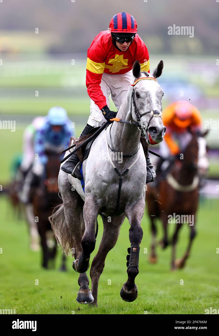 Vanillier est monté par Mark Walsh sur le chemin de gagner l'obstacle des novices Albert Bartlett pendant le quatrième jour du Festival Cheltenham à l'hippodrome de Cheltenham. Date de la photo : vendredi 19 mars 2021. Banque D'Images Vanillier est monté par Mark Walsh sur le chemin de gagner l'obstacle des novices Albert Bartlett pendant le quatrième jour du Festival Cheltenham à l'hippodrome de Cheltenham. Date de la photo : vendredi 19 mars 2021. Banque D'Images