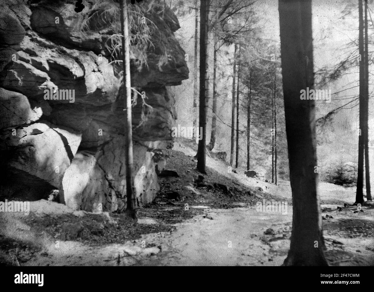 Sur les rochers de pierre d'été Banque D'Images