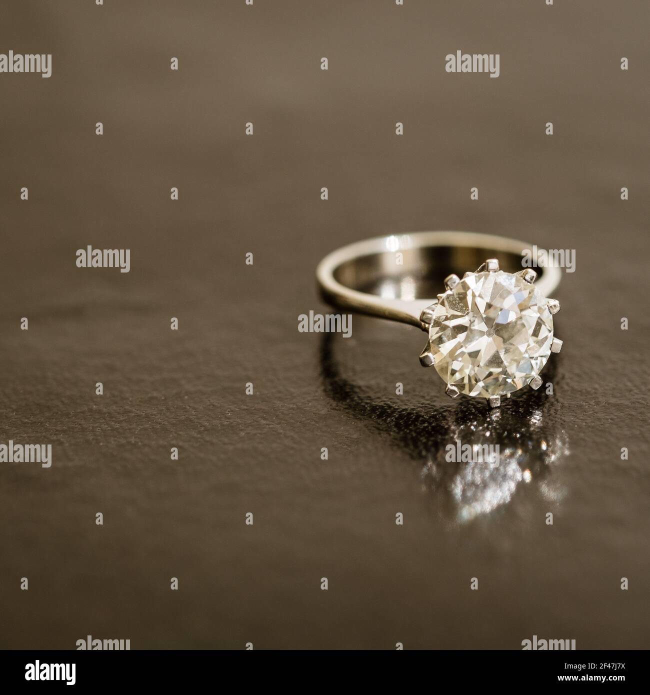 précieux solitair brillant diamant monté sur bague or blanc Banque D'Images