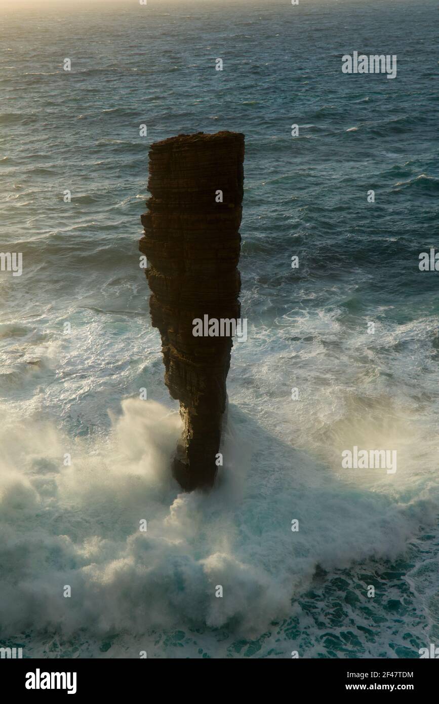 Pile de la mer de Gaulton Nord. Îles Orcades Banque D'Images