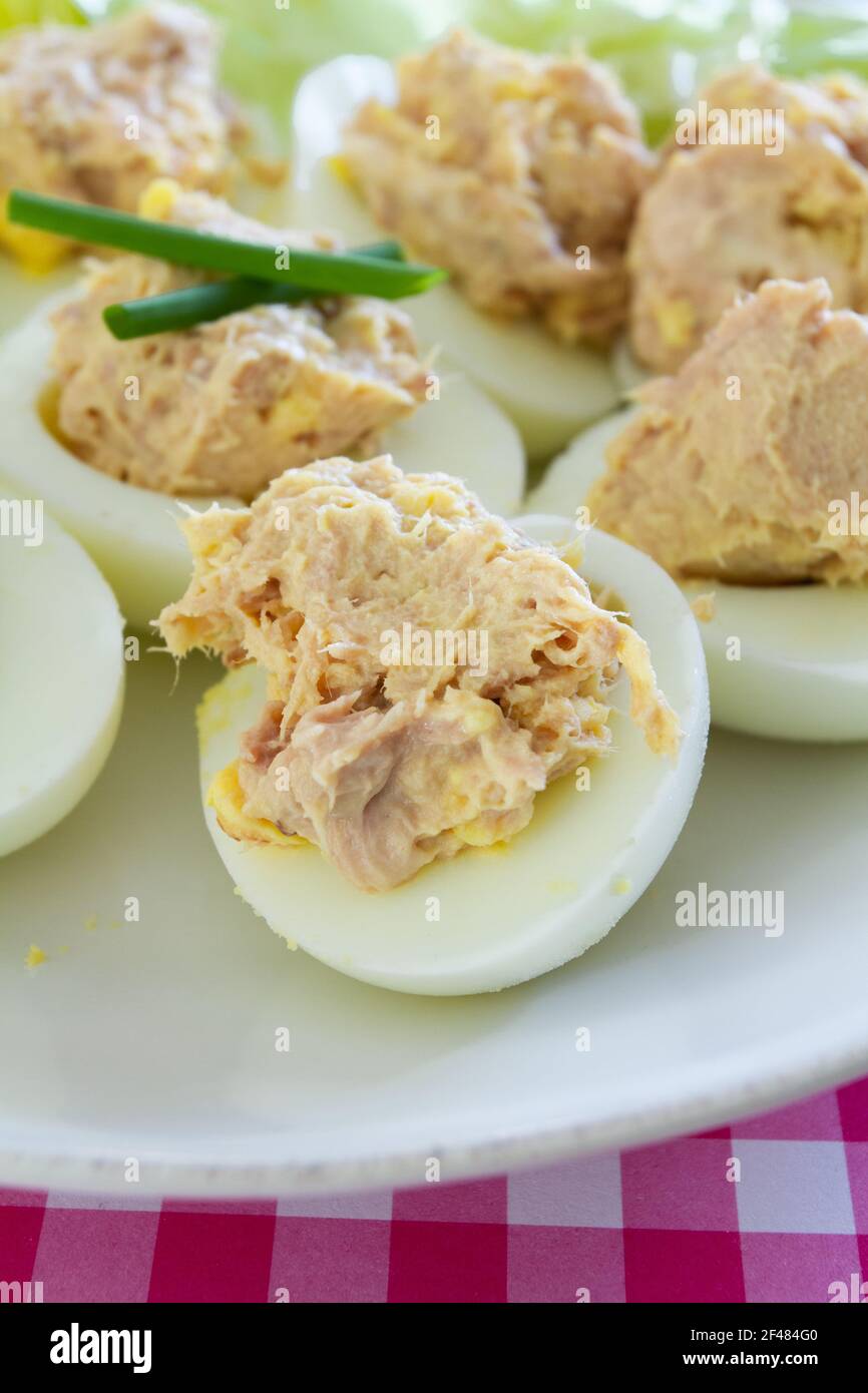 Œuf de Mimosa Banque D'Images