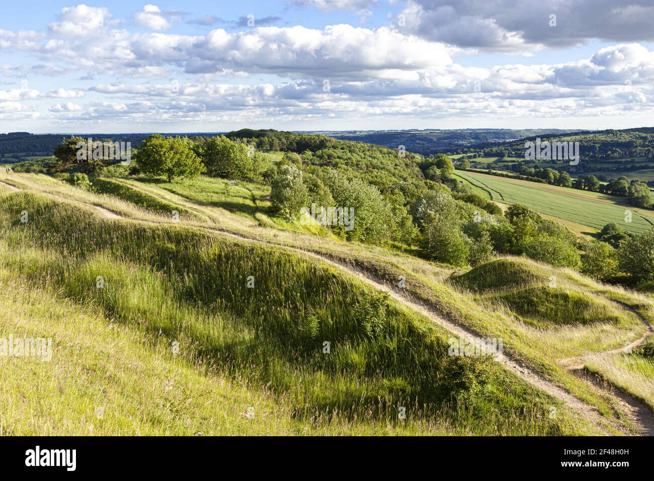 Une partie des remparts et fossés défensifs de l'âge du fer sur fortin Painswick Beacon, Gloucestershire UK Banque D'Images