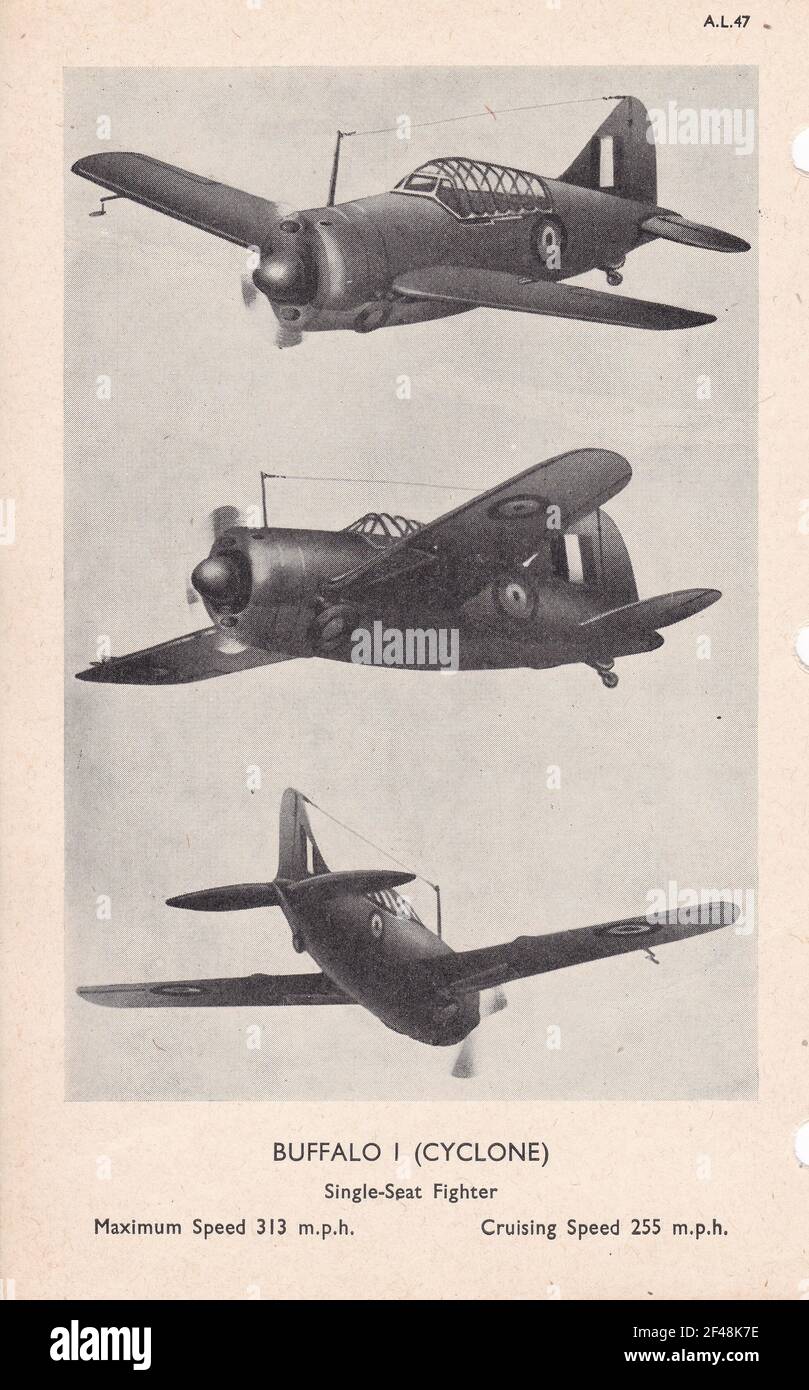 Reconnaissance de l'avion WW2 - Buffalo I (Cyclone) Fighter monoplace. Banque D'Images