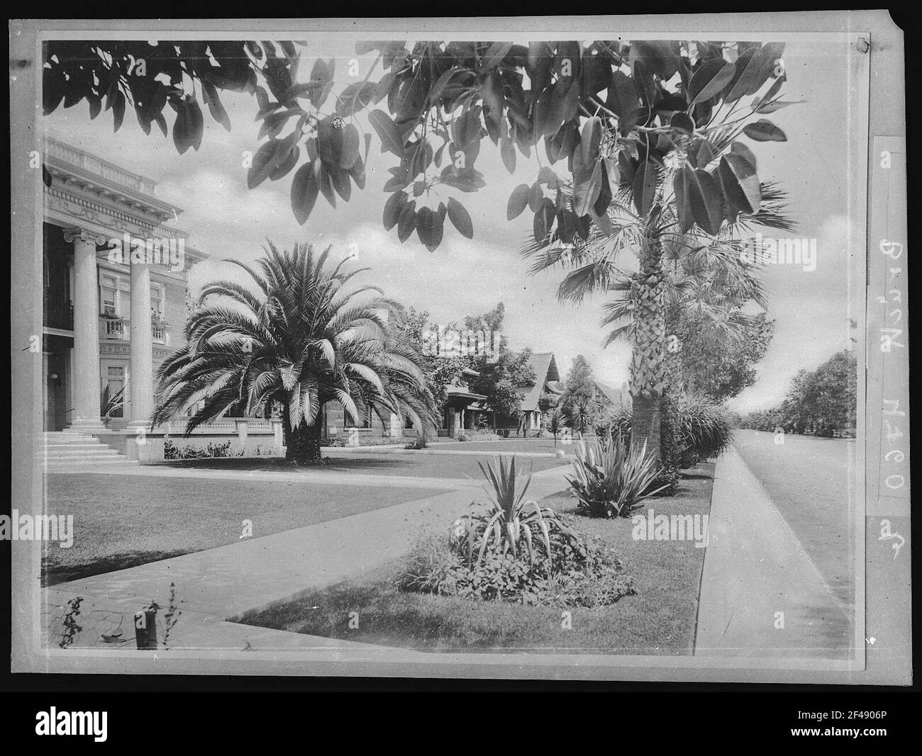 Sud. Une résidence Street dans le sud de la Californie Banque D'Images
