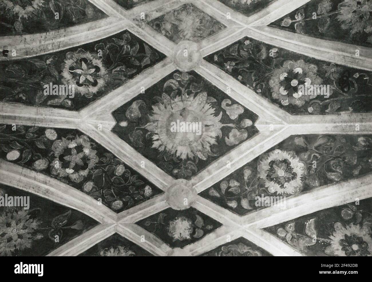 Illusionniste peint mouillant des côtes et des motifs vegatiles. Peinture de plafond. Couleurs de chaux et tempera partiellement. 1510. Görlitz, entreprise résidentielle Untermarkt 5, trésorerie Banque D'Images