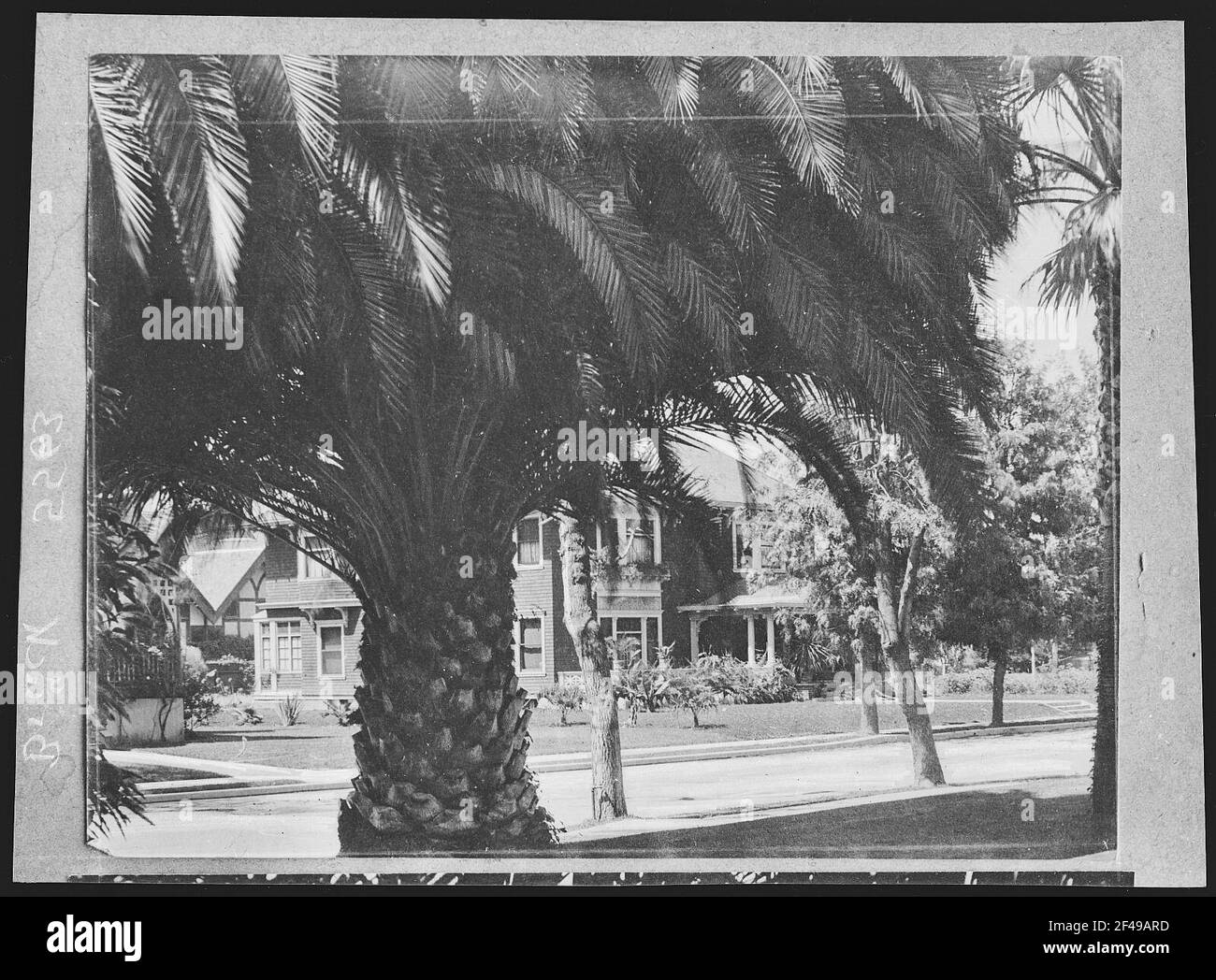 Los Angeles. La maison du Major Russell sous le palmier de St. James Park Banque D'Images