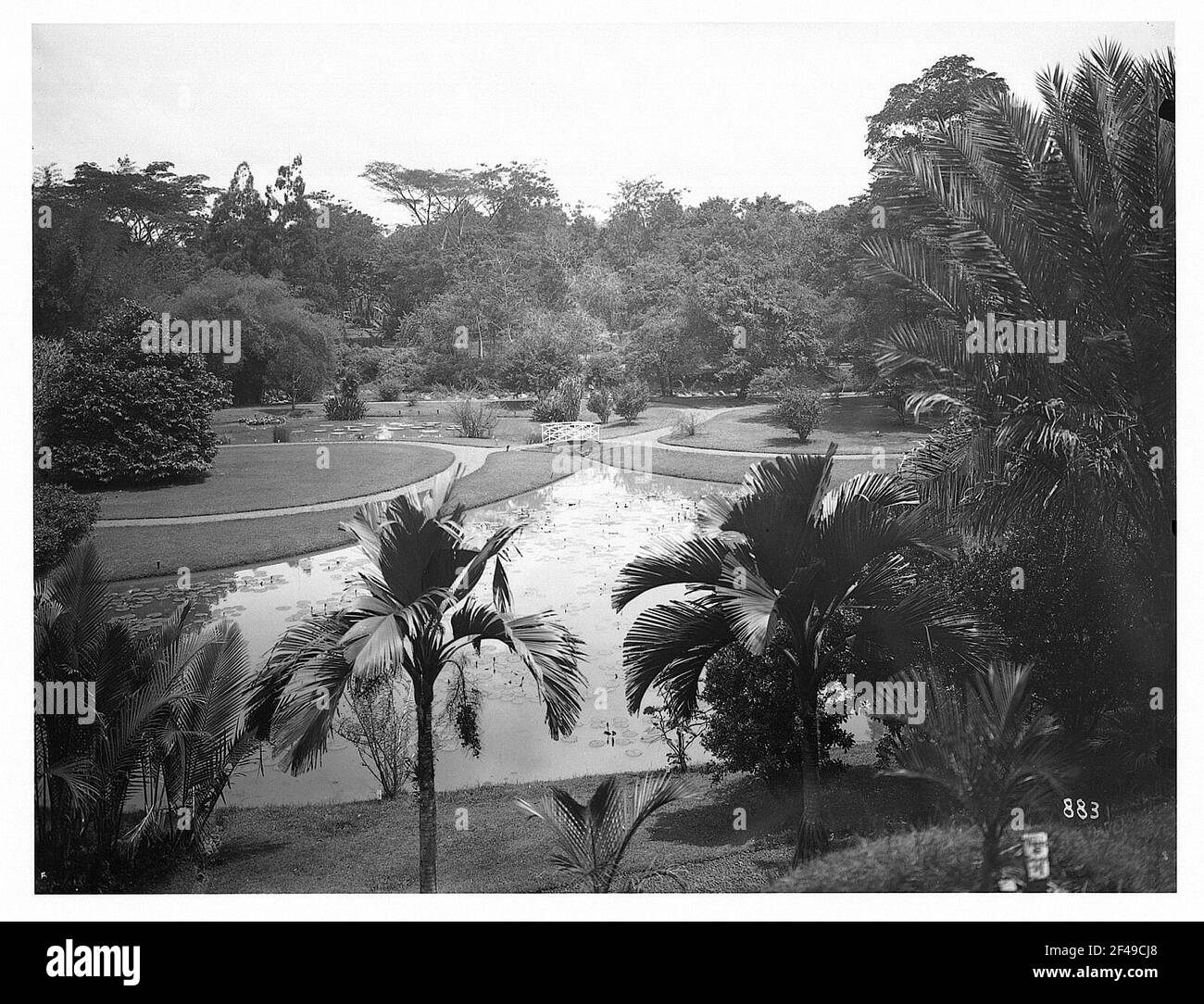 Buitenzorg (Bogor) (Java / Indonésie). Jardin botanique (1817, K. G. K. Reinwardt). Vue depuis l'emplacement élevé sur Lotustich avec pont Banque D'Images