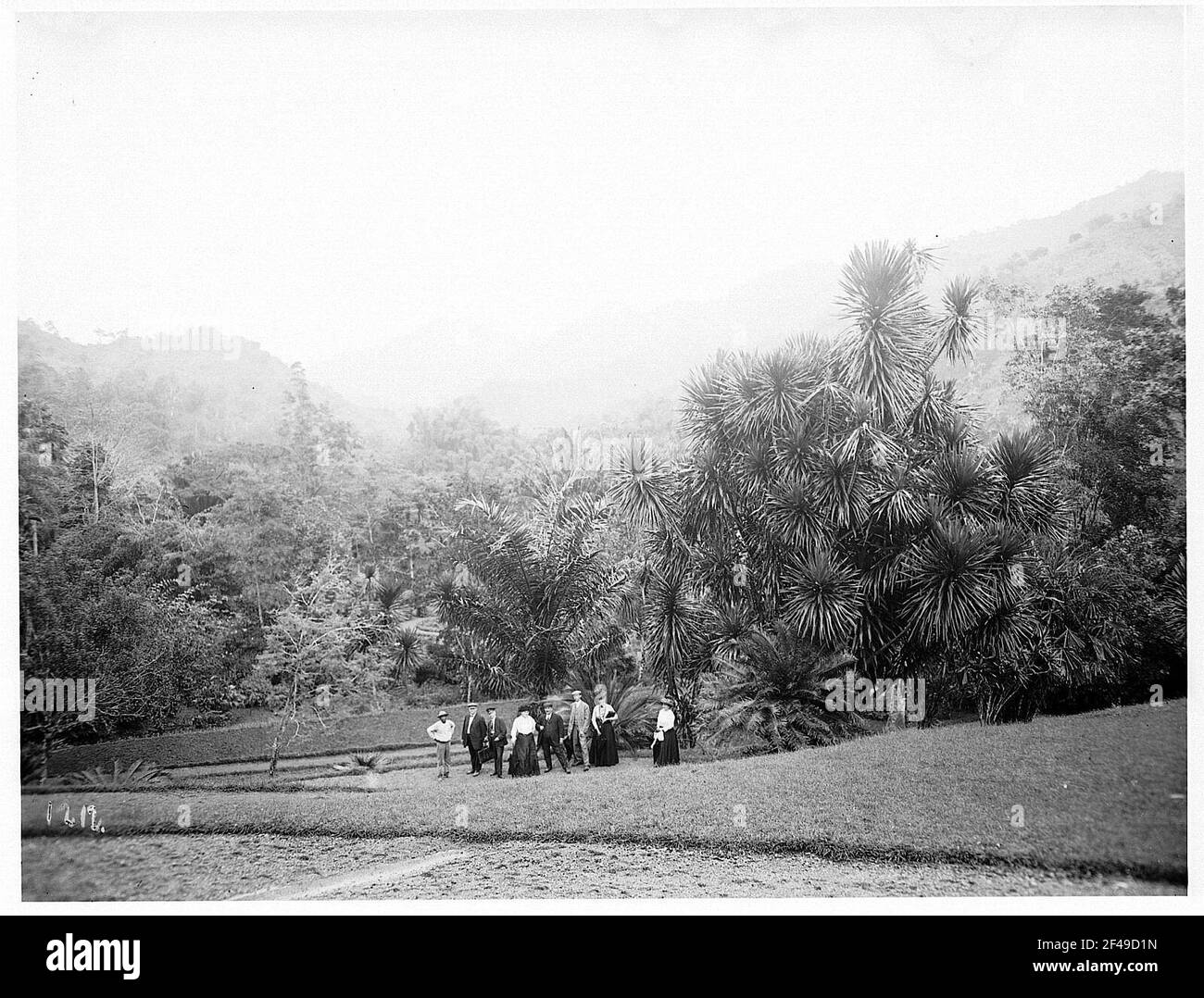 Touristes dans le jardin de Castelon de Kingston Banque D'Images