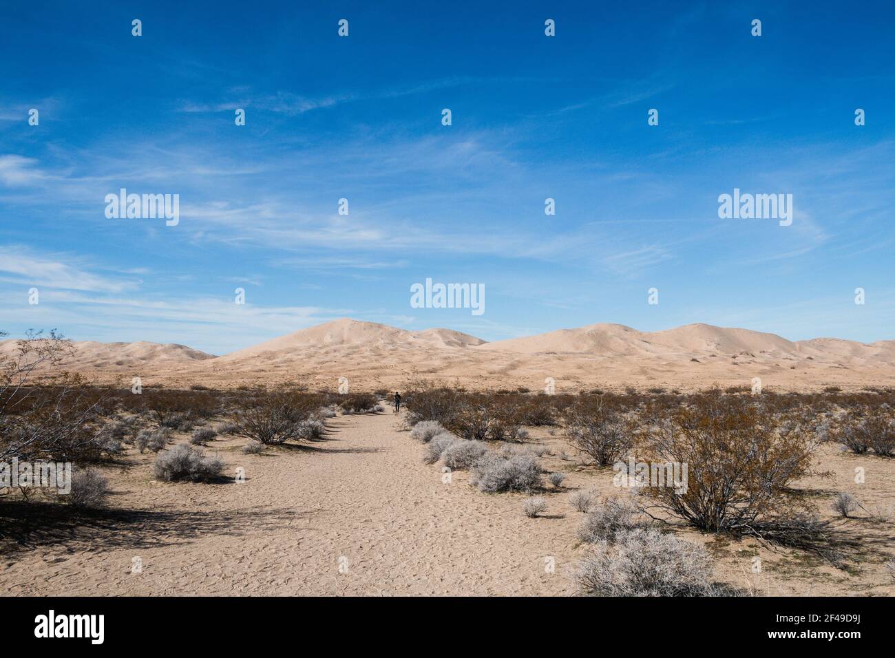 Vue sur les dunes de Kelso dans le désert de Mojave Banque D'Images