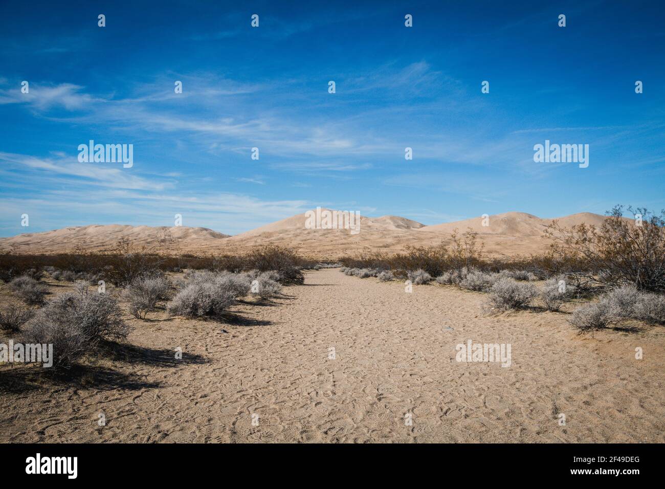 Vue sur les dunes de Kelso dans le désert de Mojave Banque D'Images