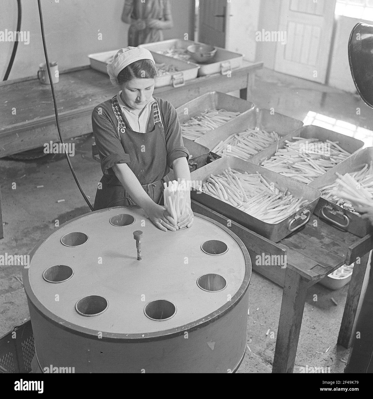 La femme remplit les asperges pelées et suspectées d'être blanchies en boîtes Banque D'Images