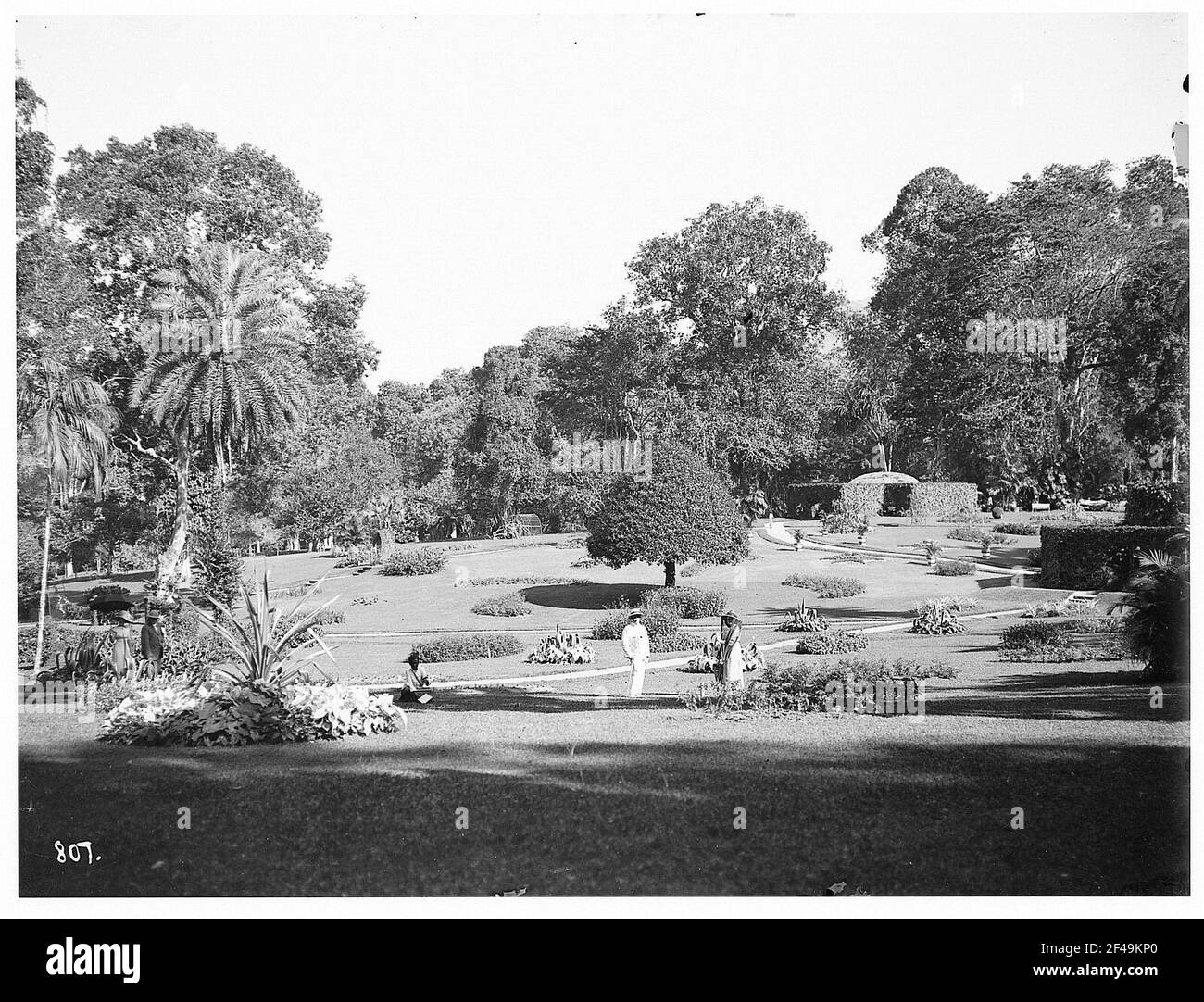 Peradeniya / Sri Lanka: Jardin botanique Banque D'Images