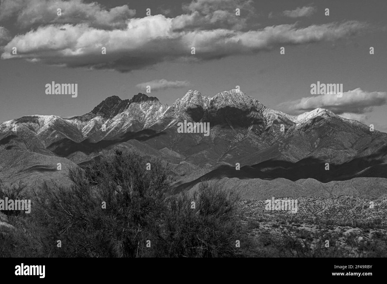 La beauté abonde sur le cours inférieur de la rivière Salt près de Mesa, Arizona avec des formations rocheuses incroyables, le cactus saguaro ainsi que beaucoup d'autres espèces de flore Banque D'Images